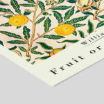 Pomegranate Πόστερ 40X50 - Image 3