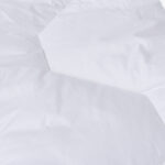 SOUFFLE DE LIN πάπλωμα μέτριας θερμοκρασίας- 300 g/m²-  βαμβάκι 140x200 - Image 5