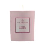 PLANTES&PARFUMS Αρωματικό φυτικό κερί 180g Mon Bel Oranger