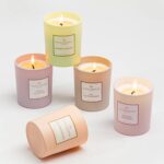 PLANTES&PARFUMS Αρωματικό φυτικό κερί 180g Vanille Gourmande - Image 2