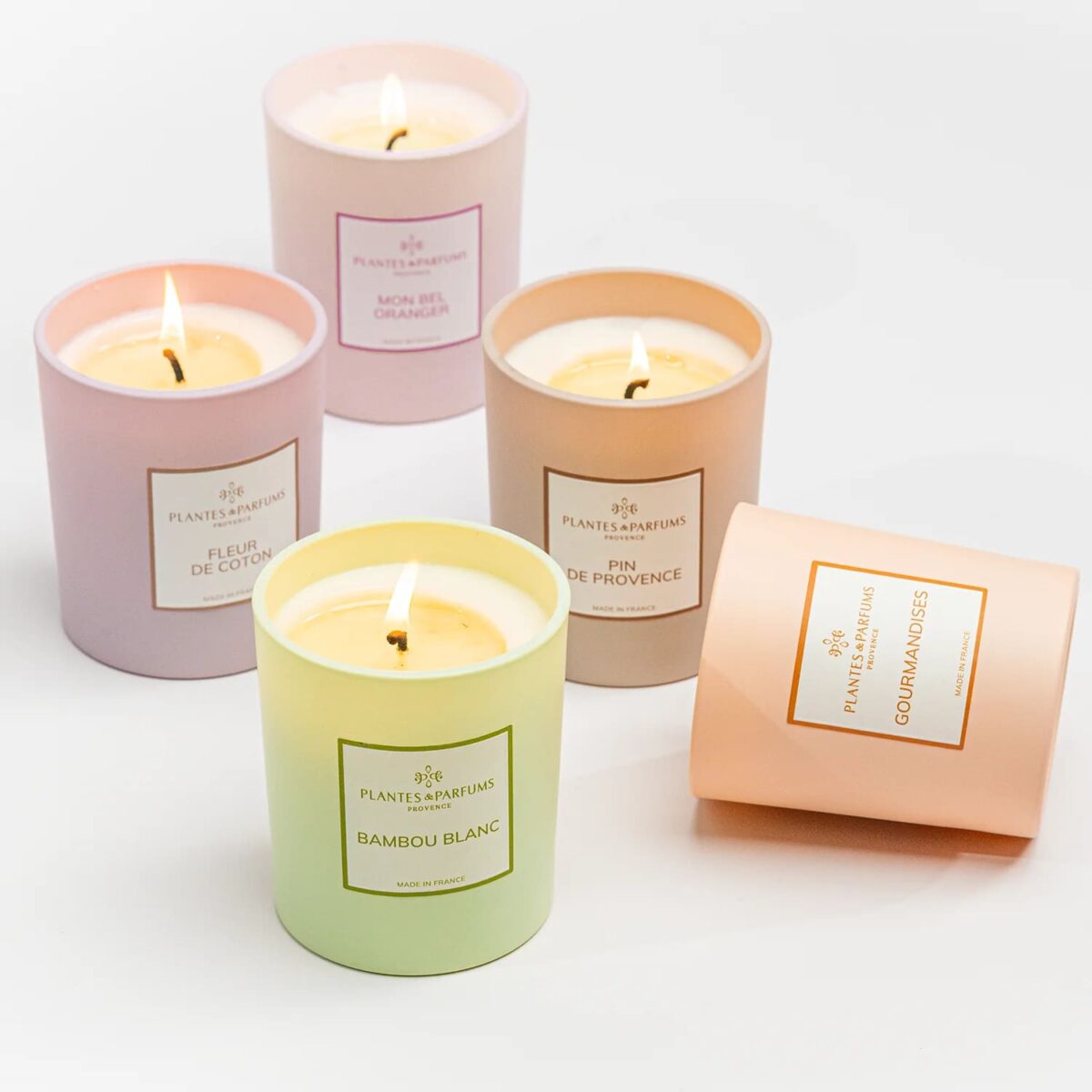 PLANTES&PARFUMS Αρωματικό φυτικό κερί 180g Douceur Cachemire - Image 2