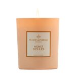 PLANTES&PARFUMS Αρωματικό φυτικό κερί 180g Monoi des Iles
