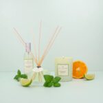 PLANTES&PARFUMS Αρωματικό φυτικό κερί 180g Mandarine Basilic - Image 4